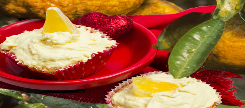 Mandarin Uniq fruit breakfast cupcakes
