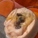 Caribean Red papaya mousse topped with butterscotch